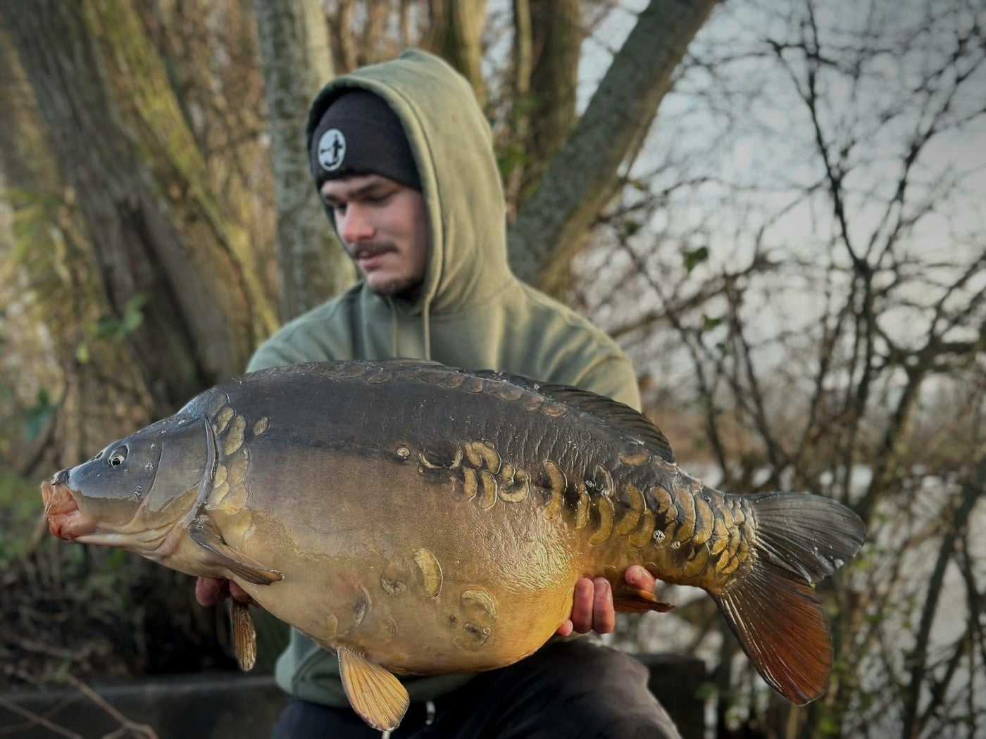 Mirror carp session
